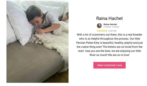 A photo of a happy child snuggling with a fluffy white Persian Petite cat, illustrating a customer testimonial.